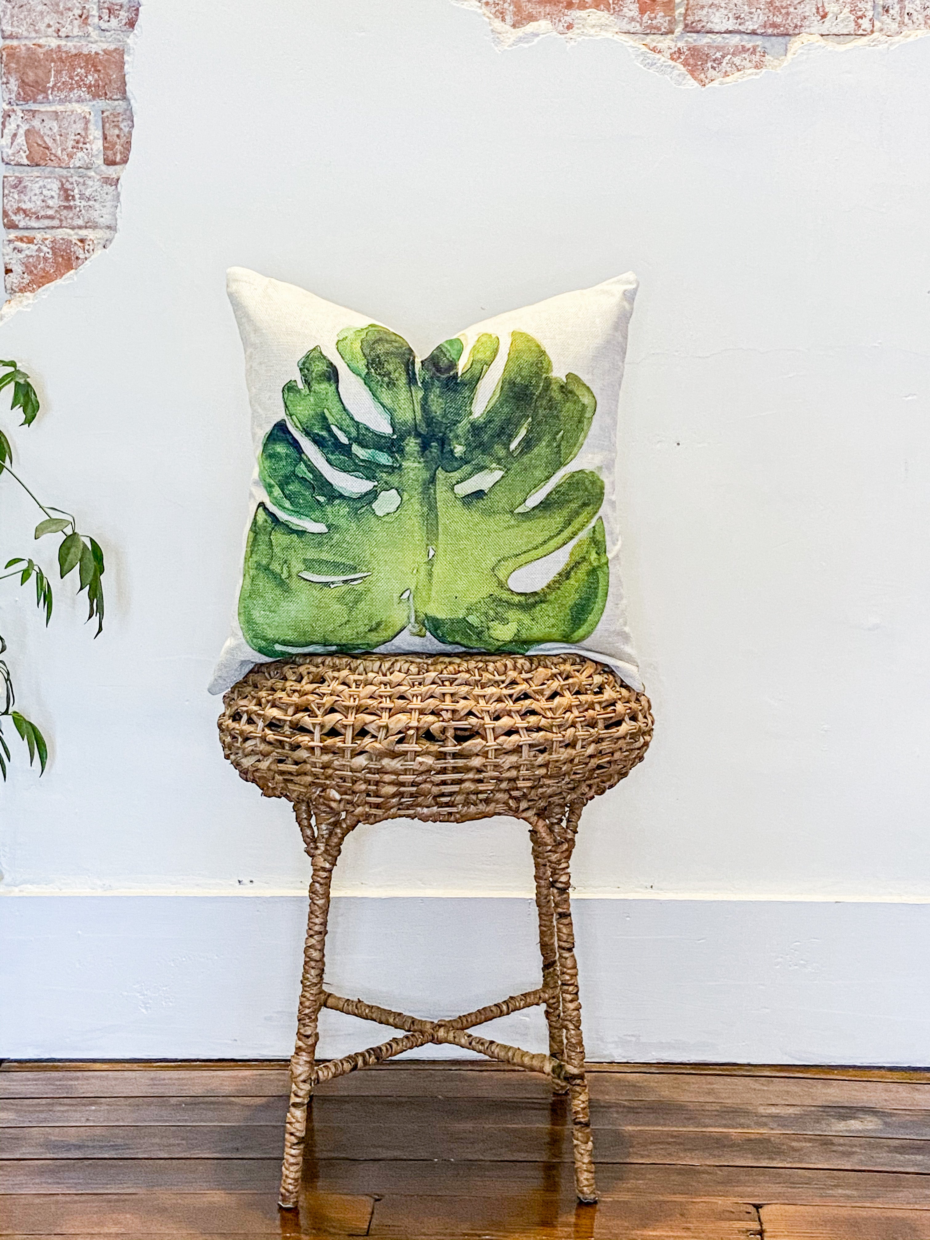Major Monstera