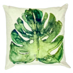 Major Monstera